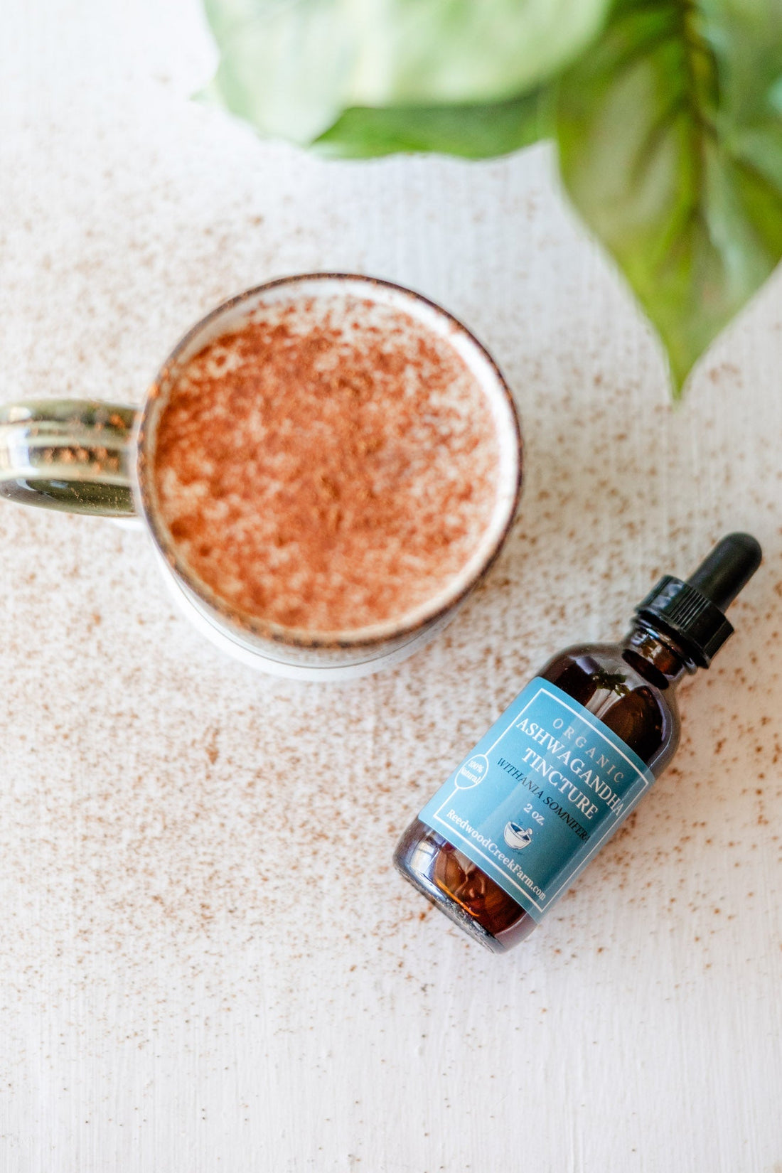 Best Adaptogen for Stress and Easy Ashwagandha Latte Recipe