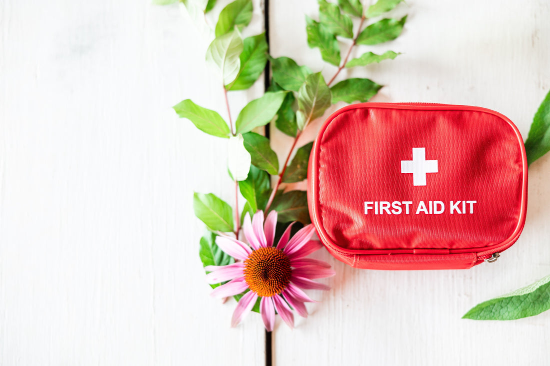The Best Herbs for Herbal First Aid