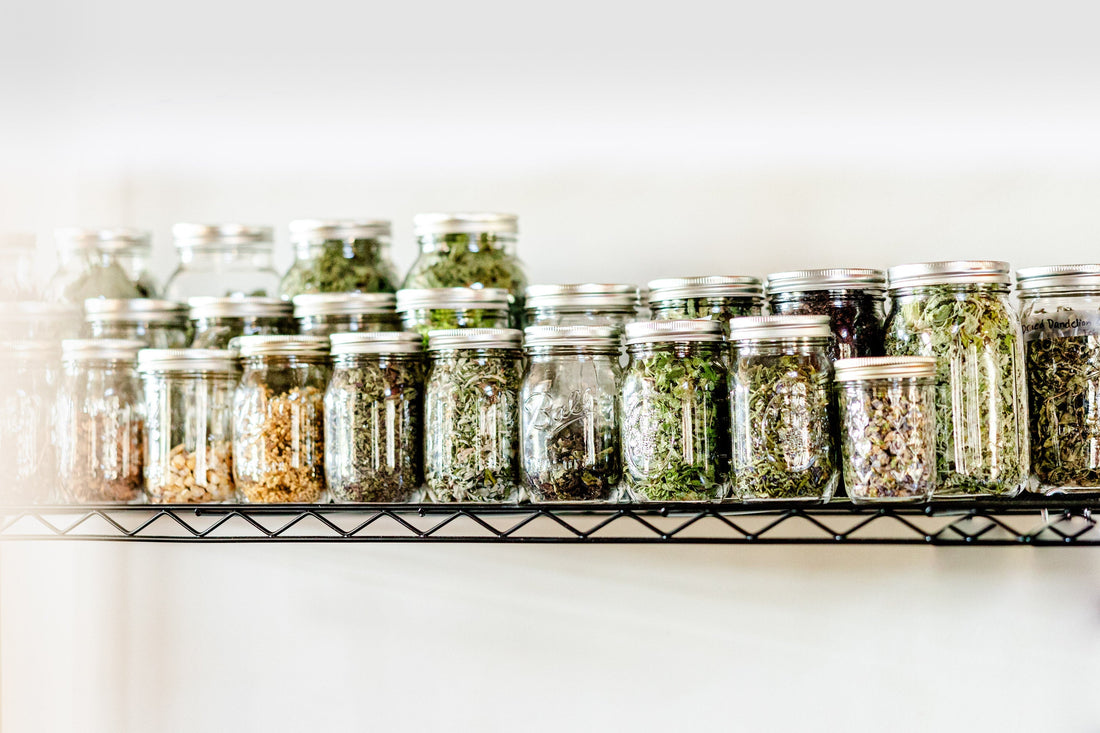 Best Herbs for Common Ailments and a Healthy Immune System