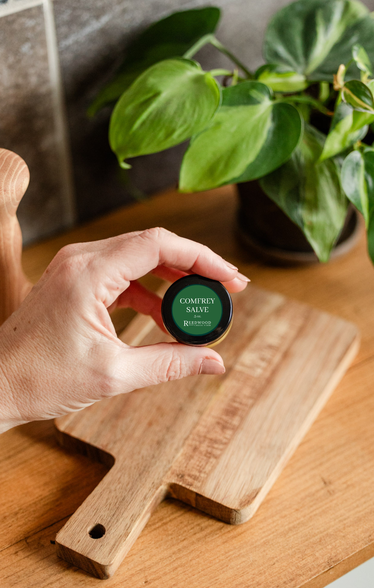 Comfrey Salve