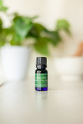 Oregano Essential Oil