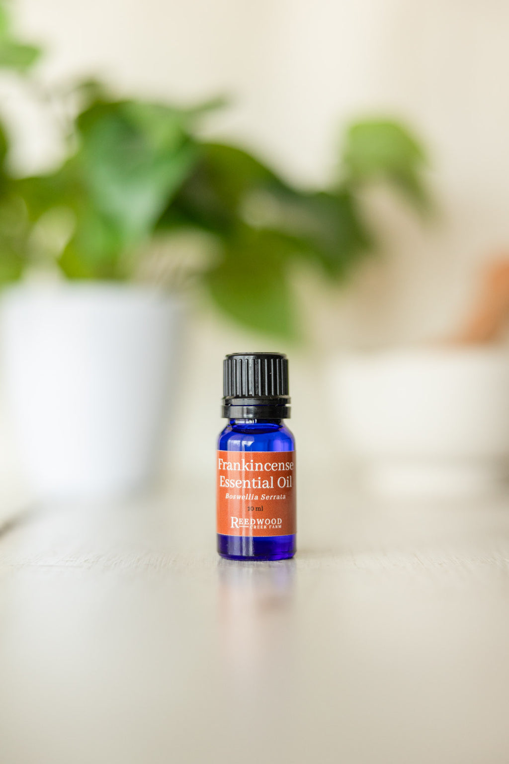 Essential Oil Bundle
