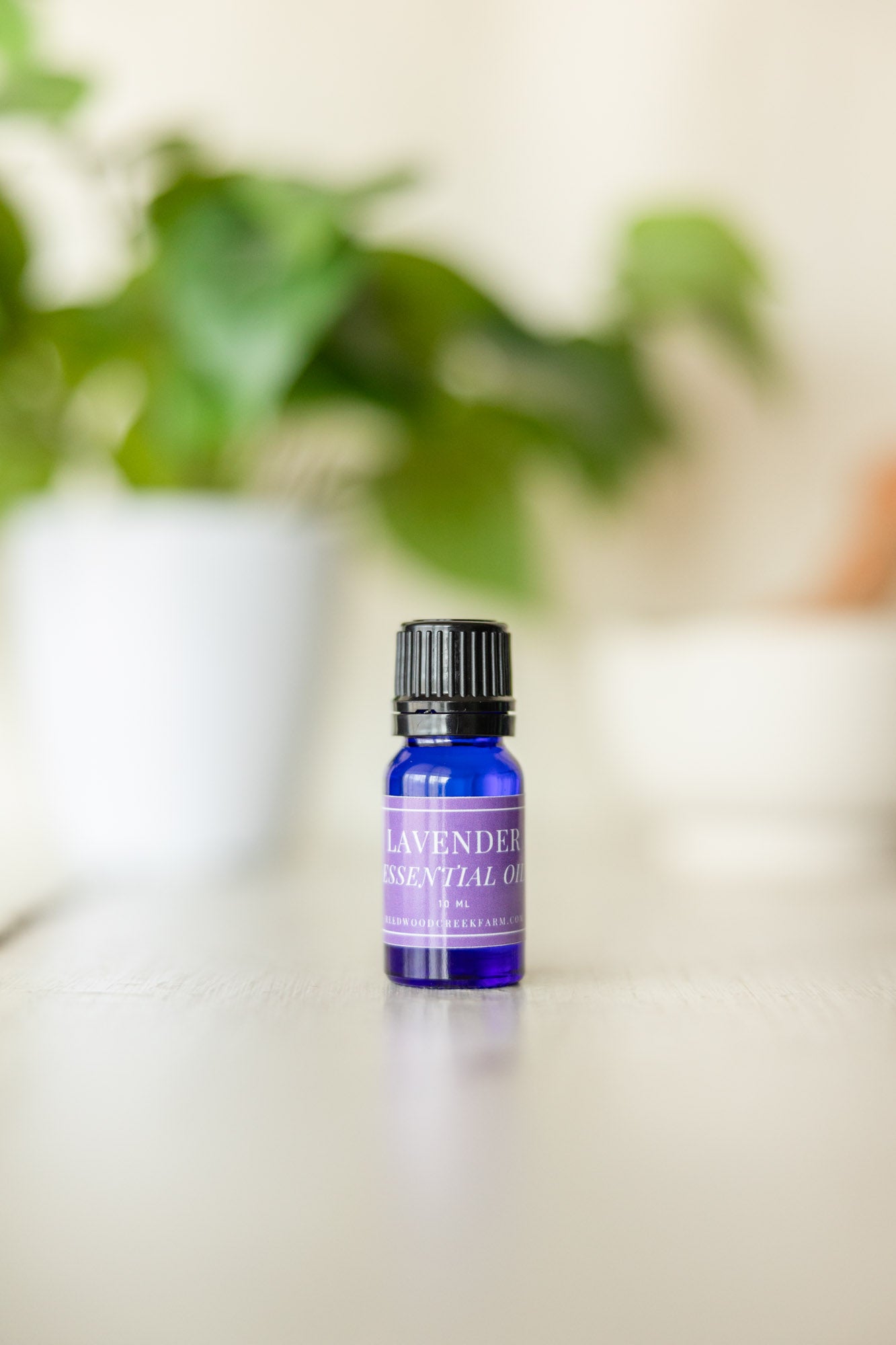 Essential Oil Bundle