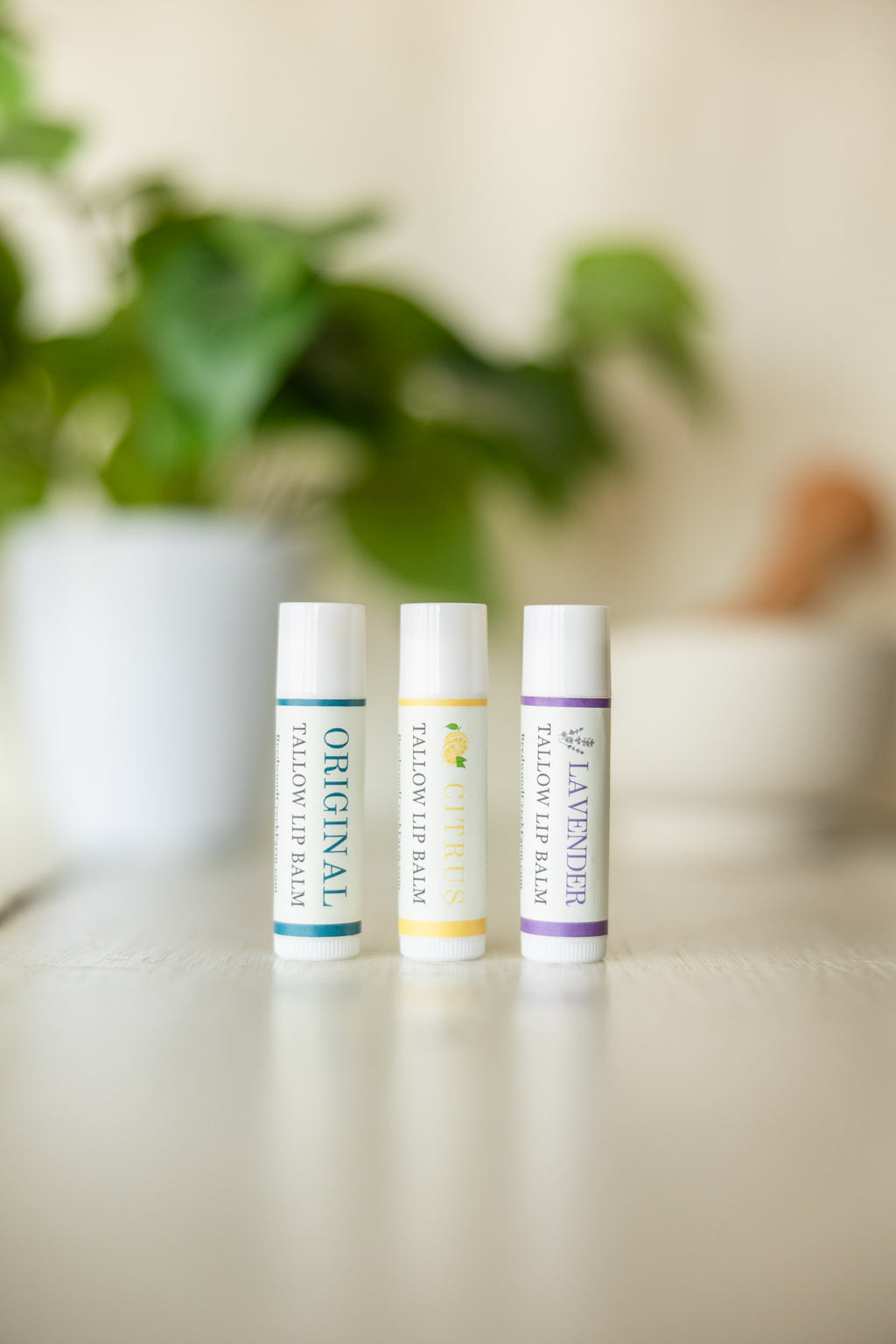 Tallow Lip Balm