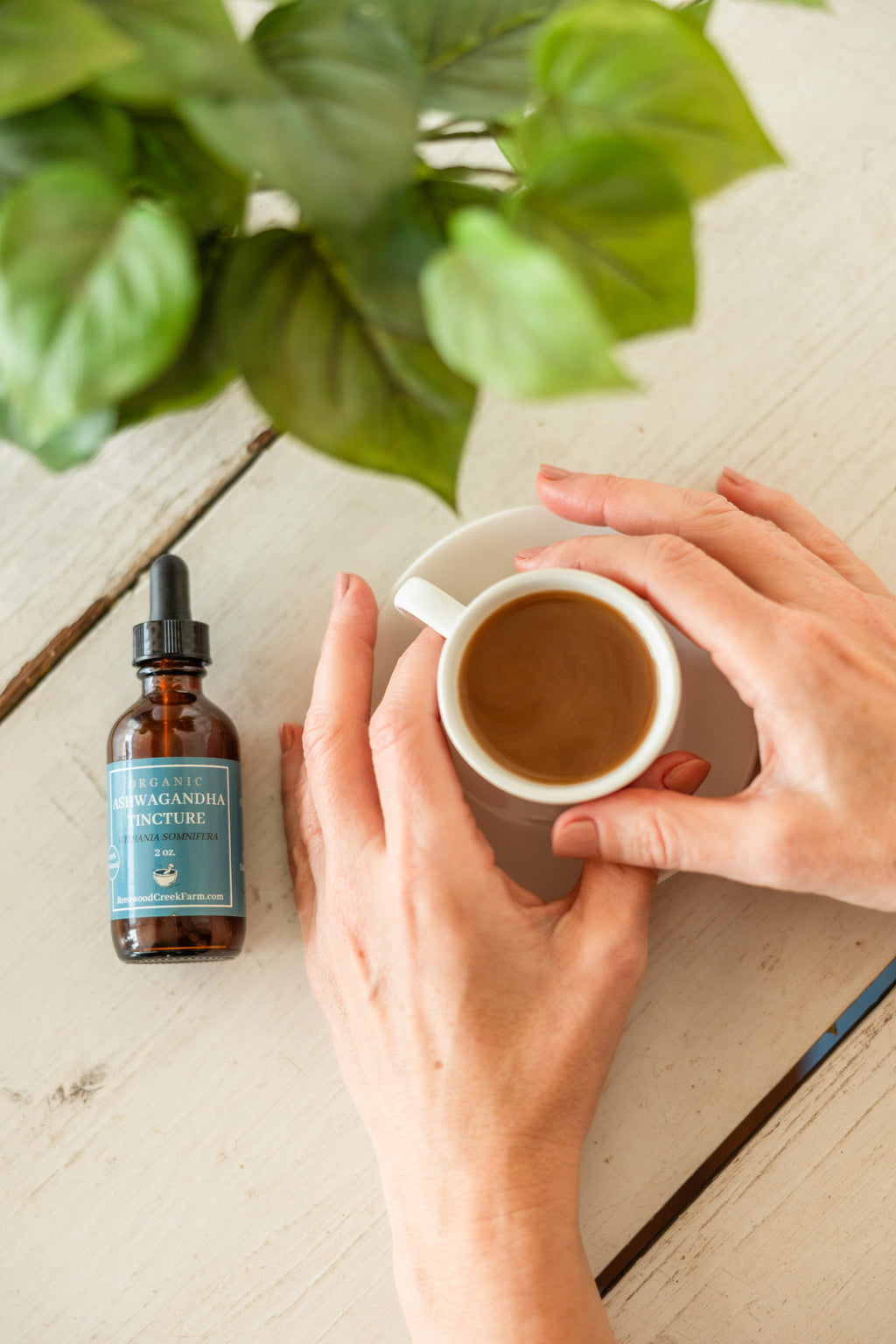 Ashwagandha Tincture