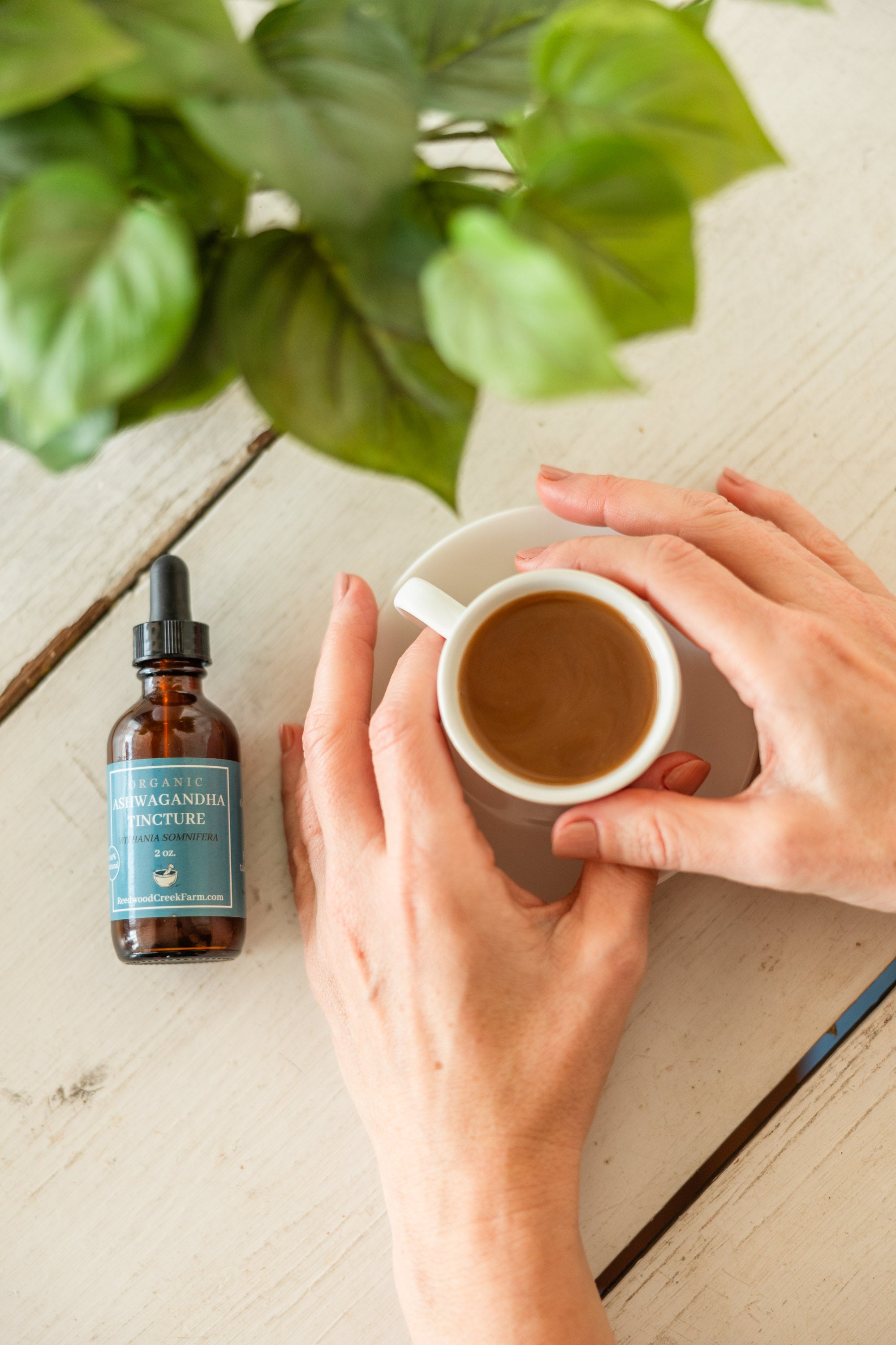 Ashwagandha Tincture