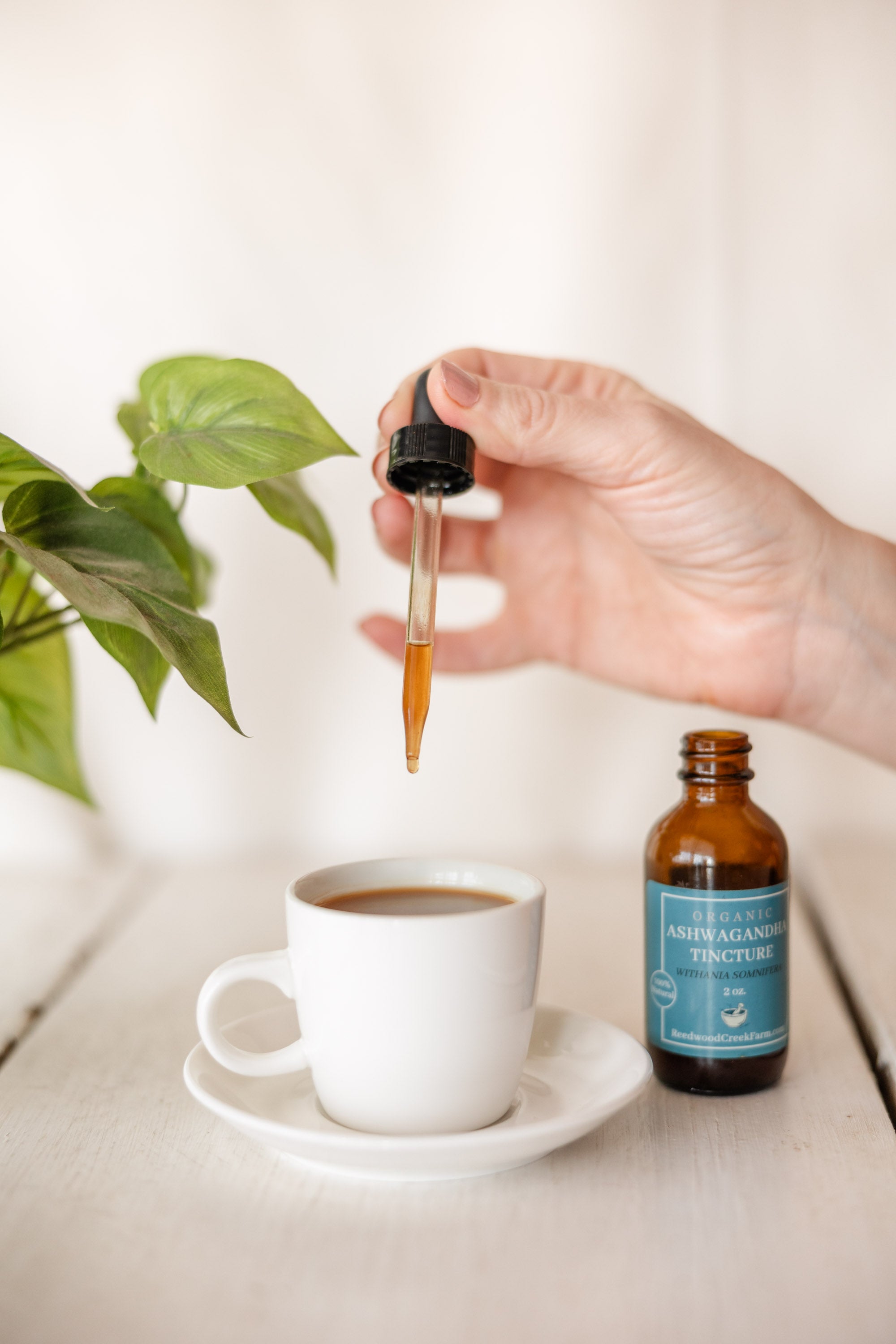 Ashwagandha Tincture