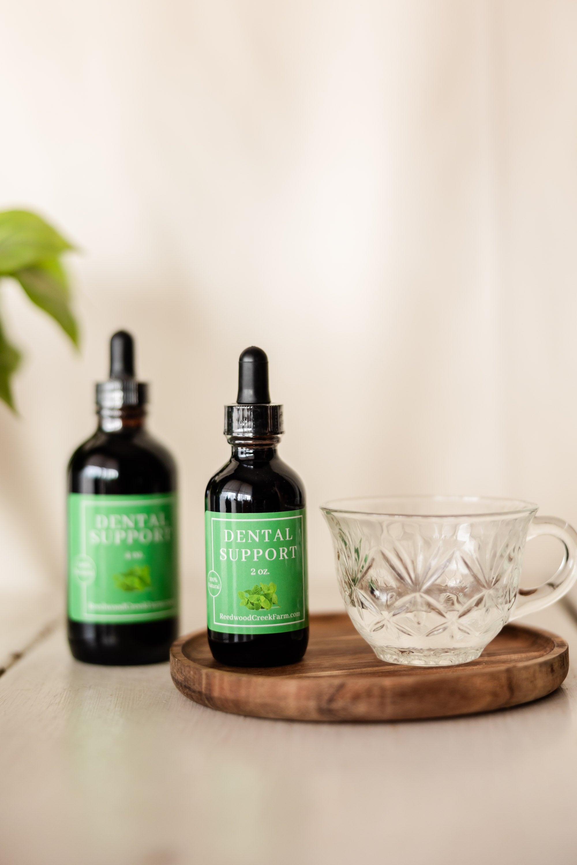 Dental Support Tincture