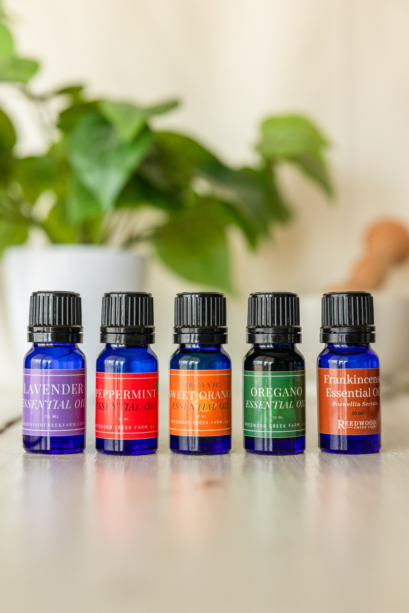 Essential Oil Bundle
