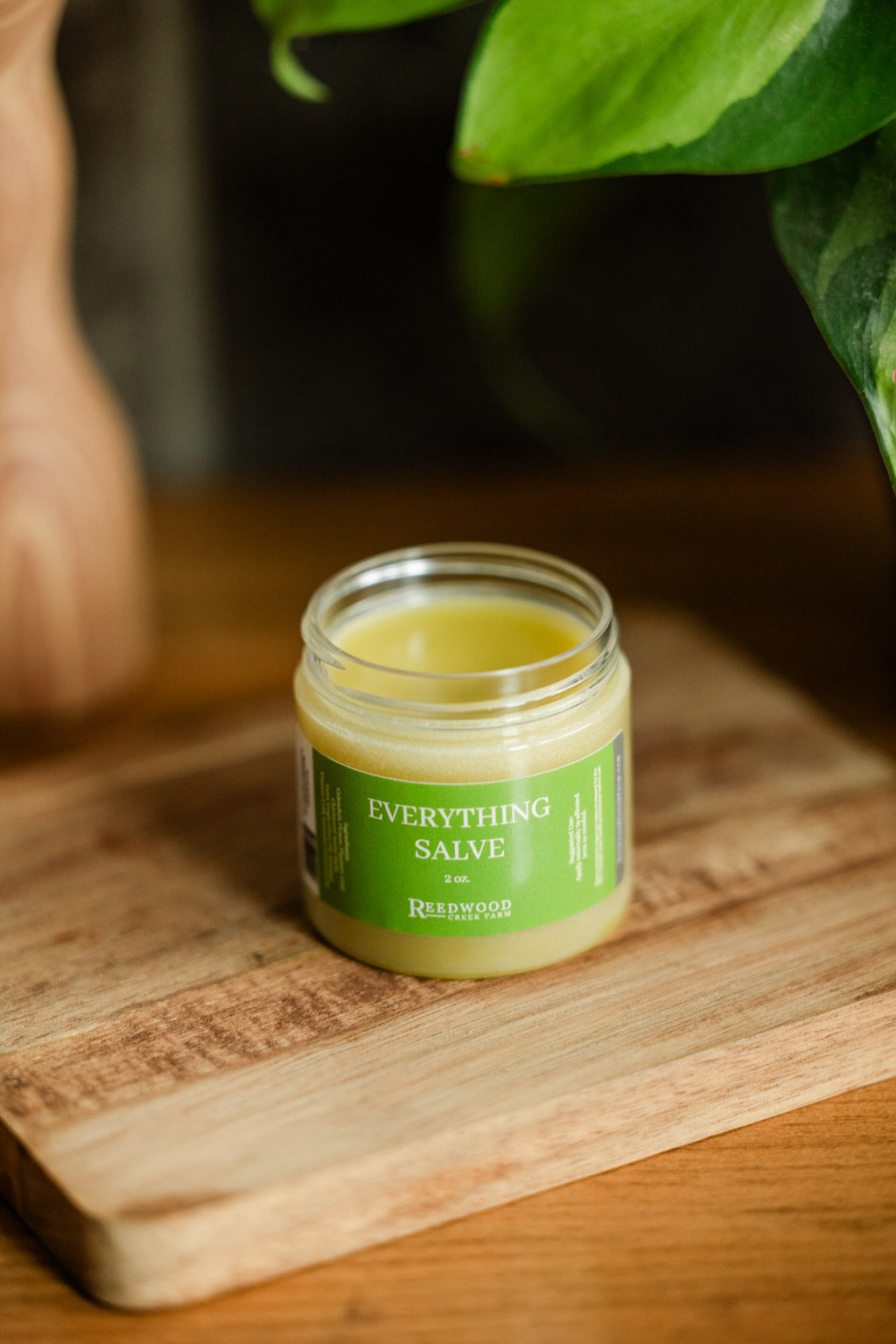 Everything Salve