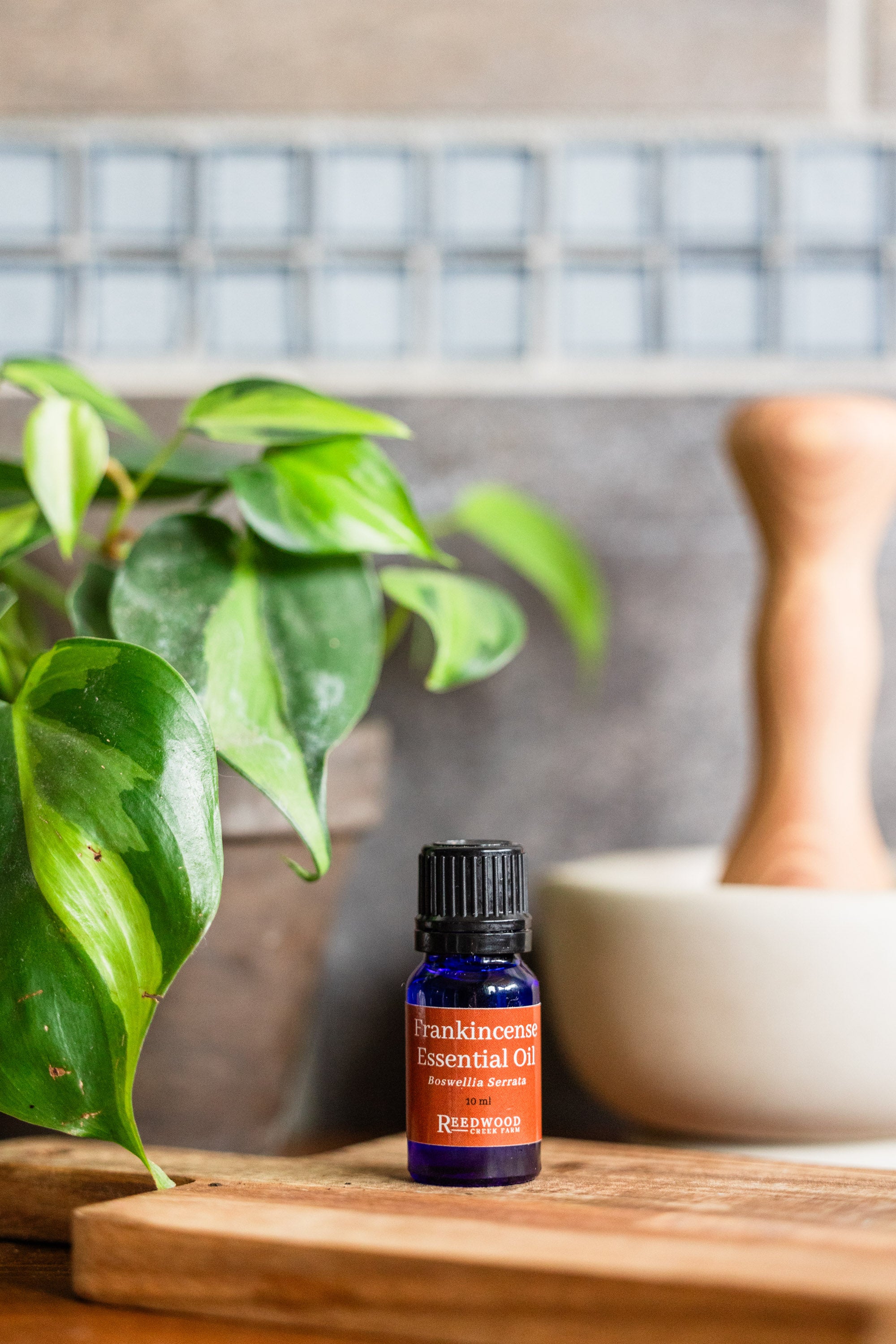 Frankincense Essential Oil