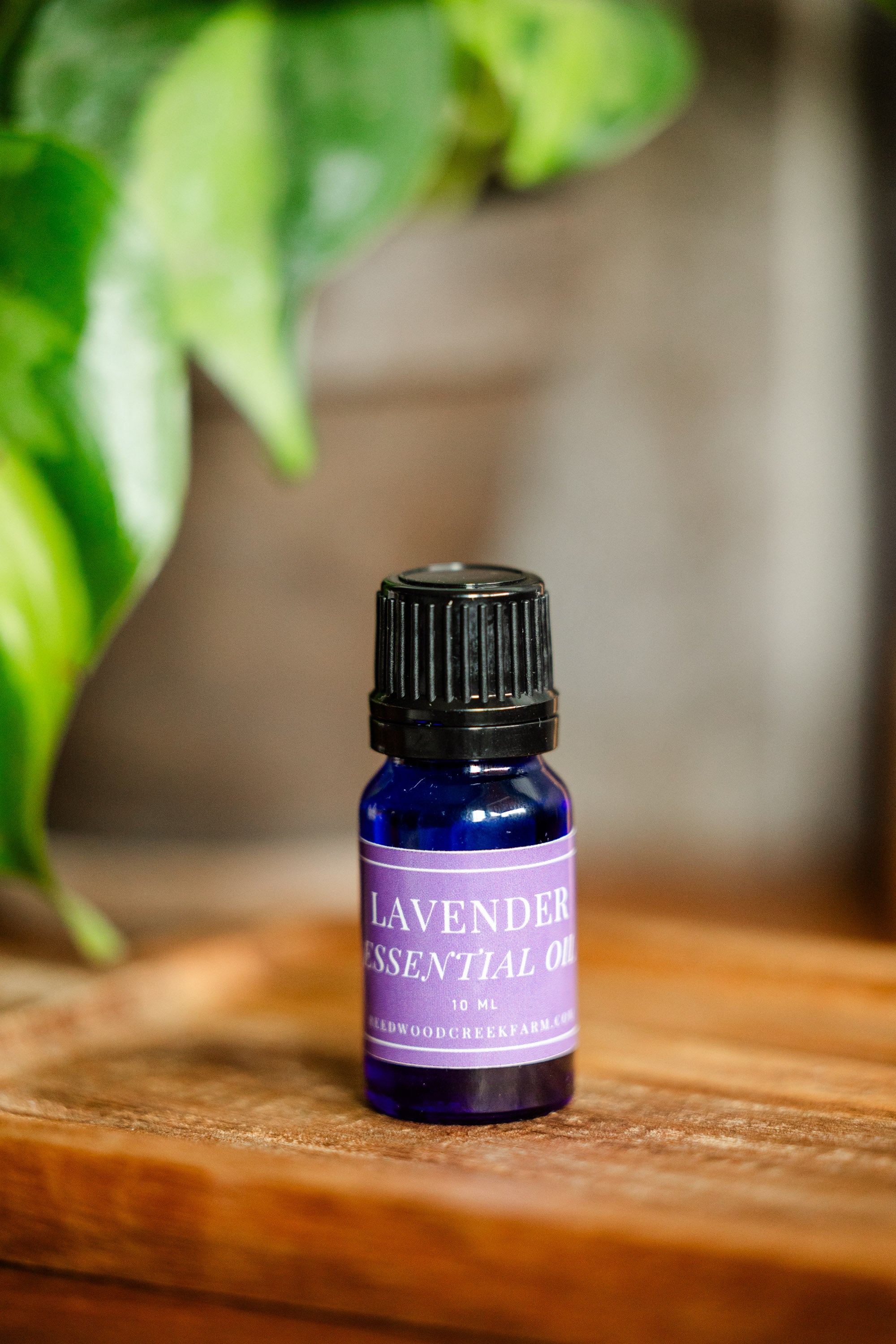 Lavender Essential Oil