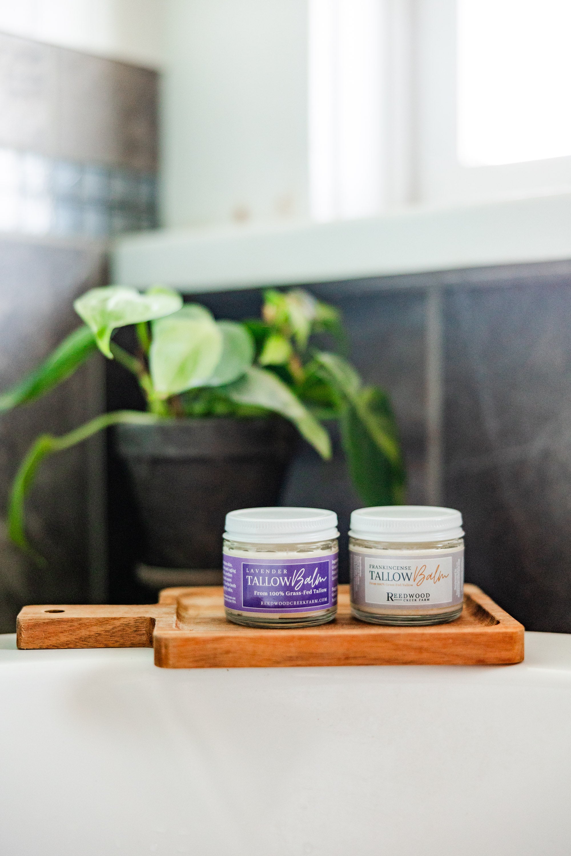Lavender Tallow Balm