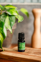 Oregano Essential Oil