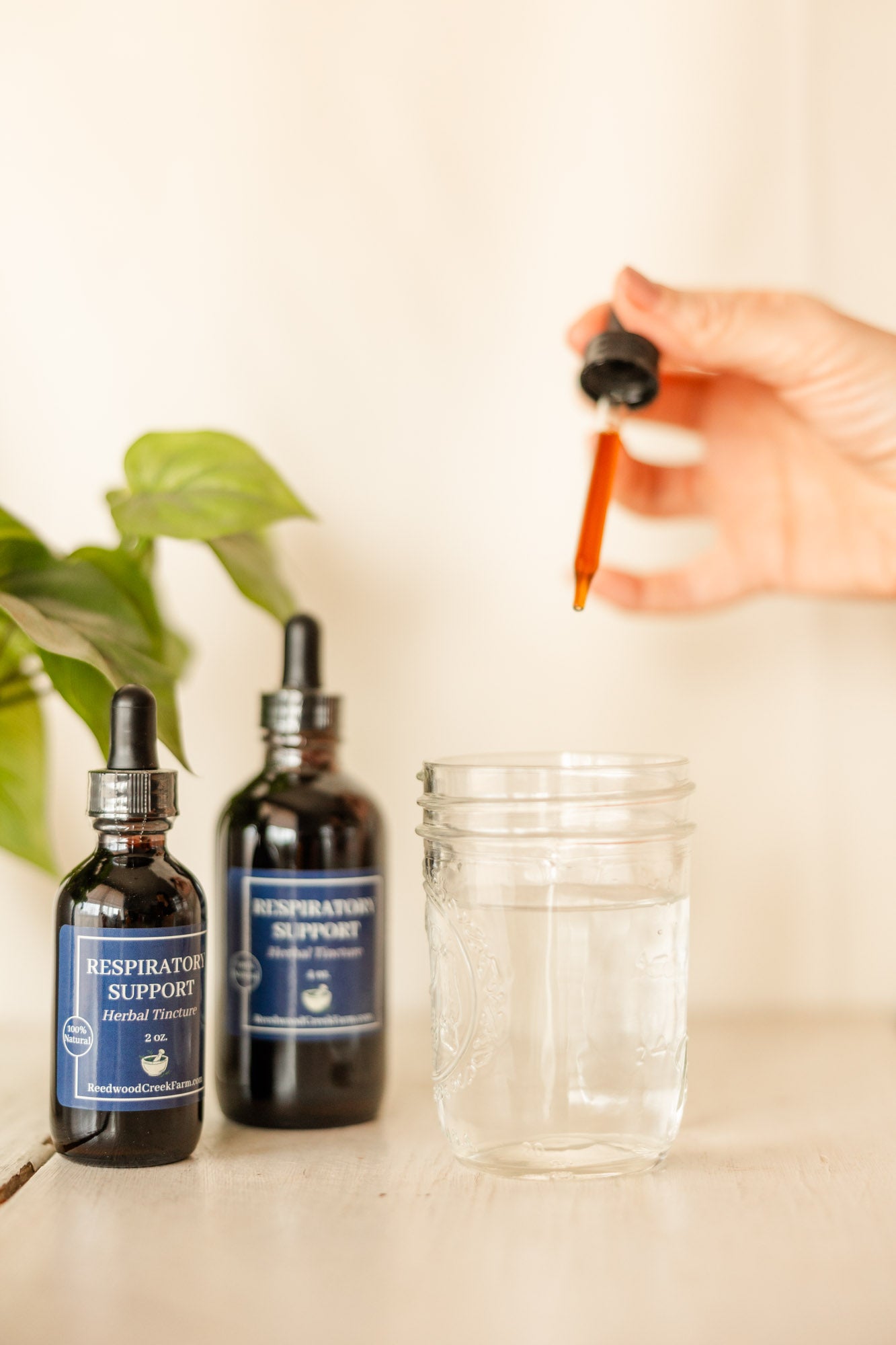 Respiratory Support Tincture