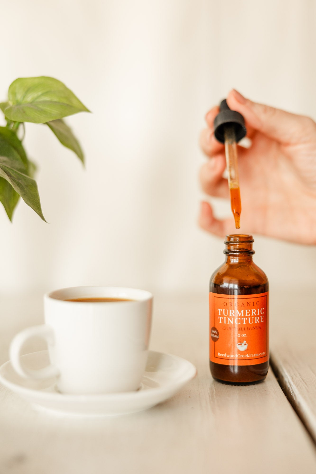 Turmeric Tincture