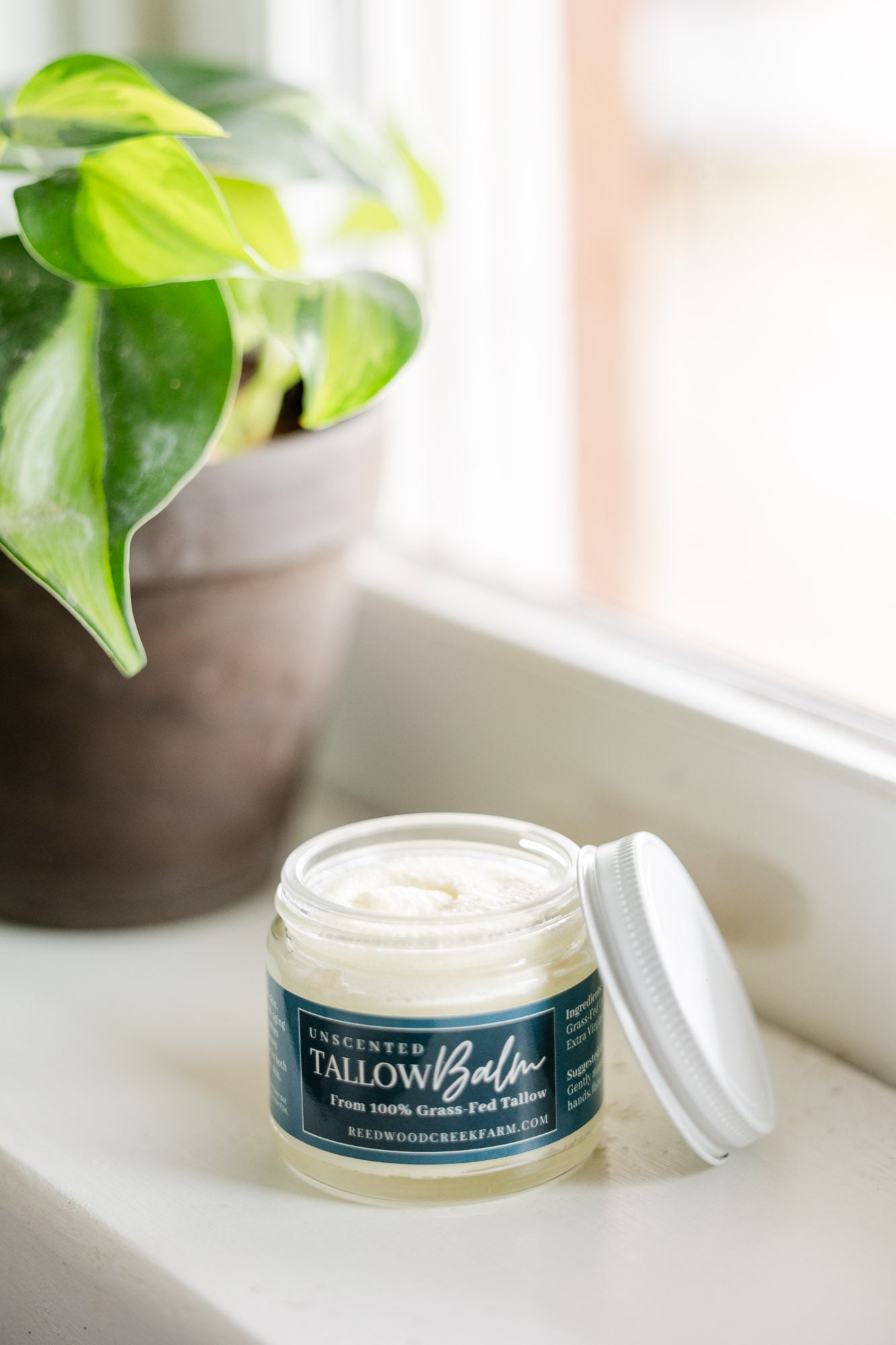 Unscented Tallow Balm